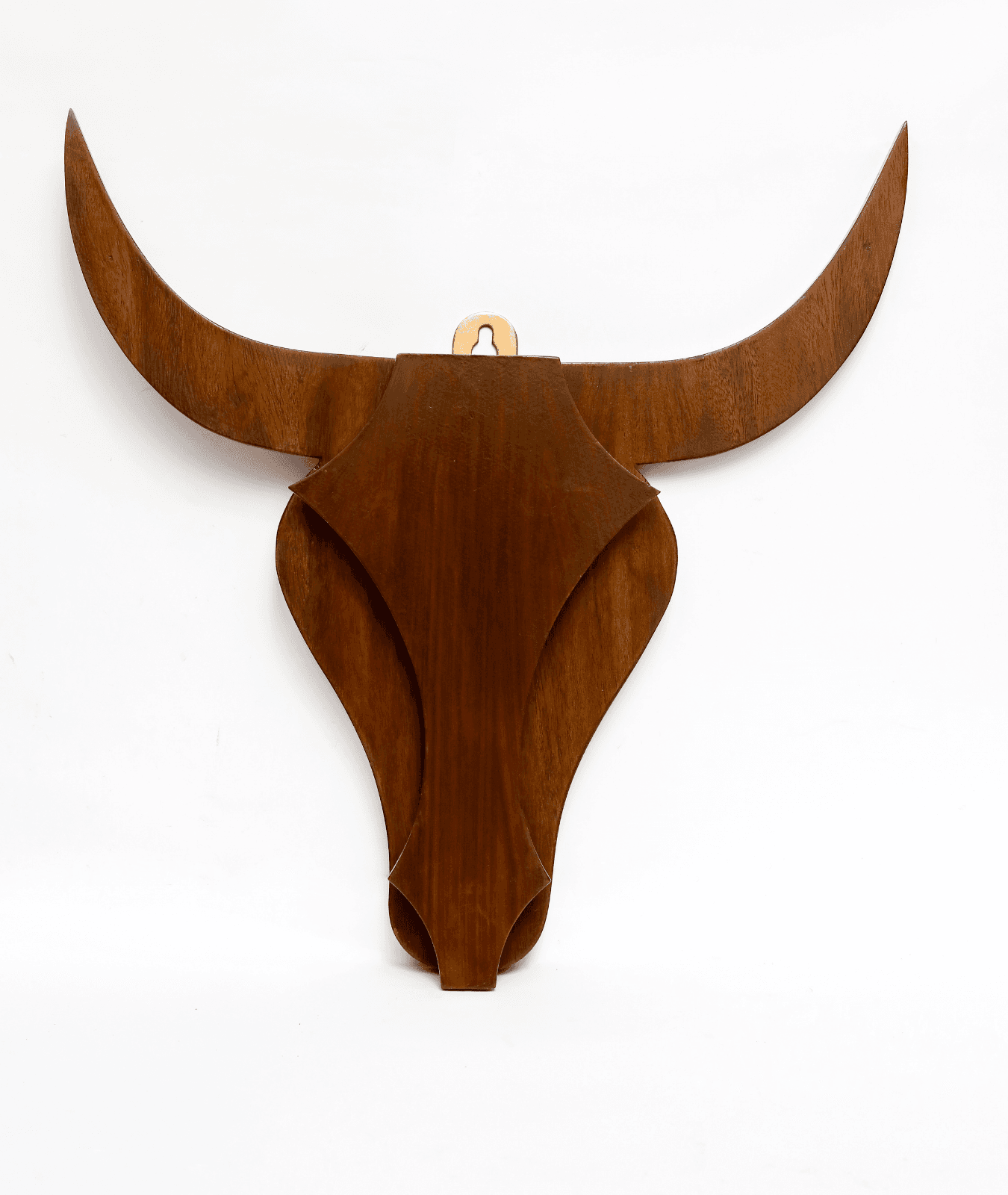 Bull Wall Hanging Lamp