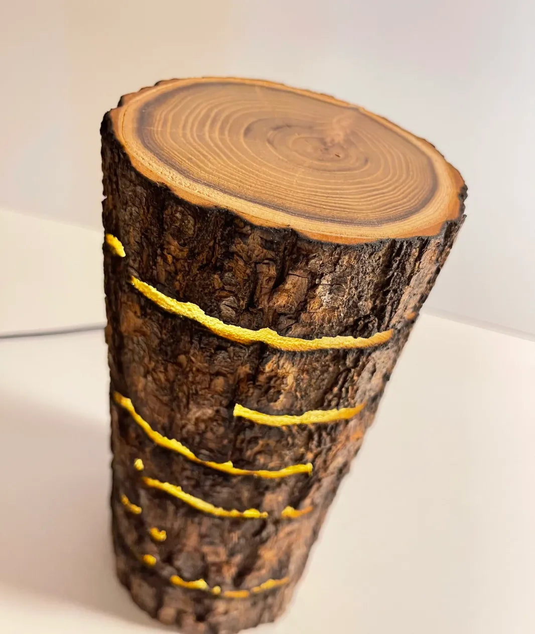 Glowing Log Wooden Lamp - Lamp & Glow